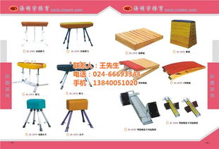 運(yùn)動(dòng)器材廠 豐和信息技術(shù)中心 在線咨詢 沈陽(yáng)運(yùn)動(dòng)器材