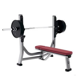 美國力健lifefitness sofb奧林匹克水平推舉椅 專業力量訓練器材圖片,美國力健lifefitness sofb奧林匹克水平推舉椅 專業力量訓練器材高清圖片 上海康丁健身器材常州分公司